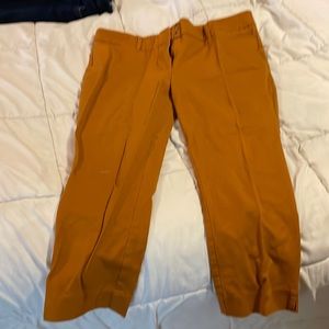 Size 14 New York and company capri pants